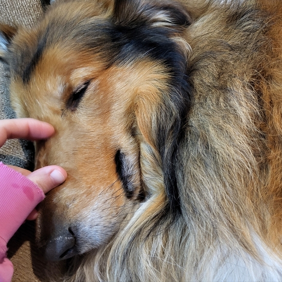 Meet the Posher Other - PLSreadBEFOREbuying!